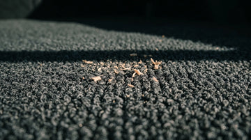 Low angle close-up of automotive trunk carpet pile with a defined band of shadow across it.
