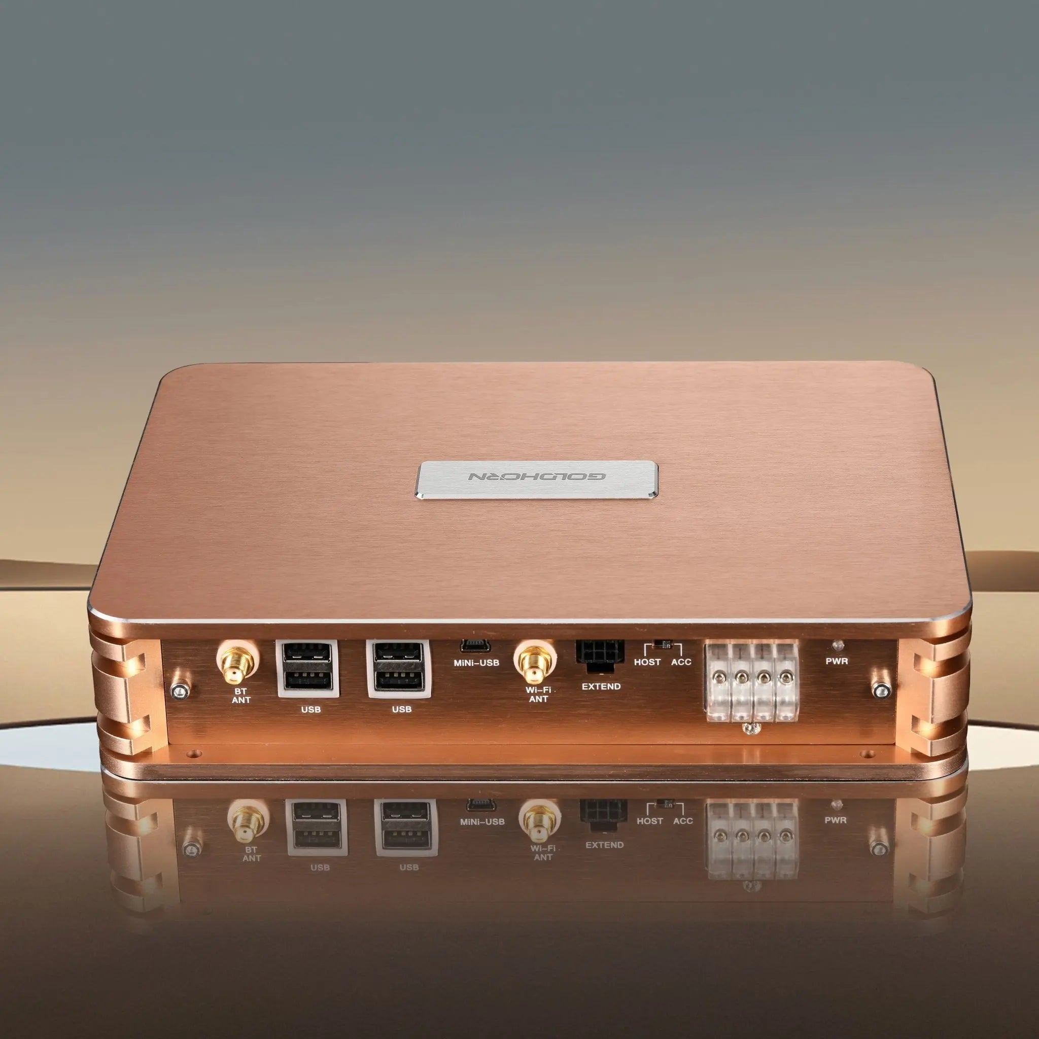 Goldhorn 12 Channel DSP - Audio Intensity