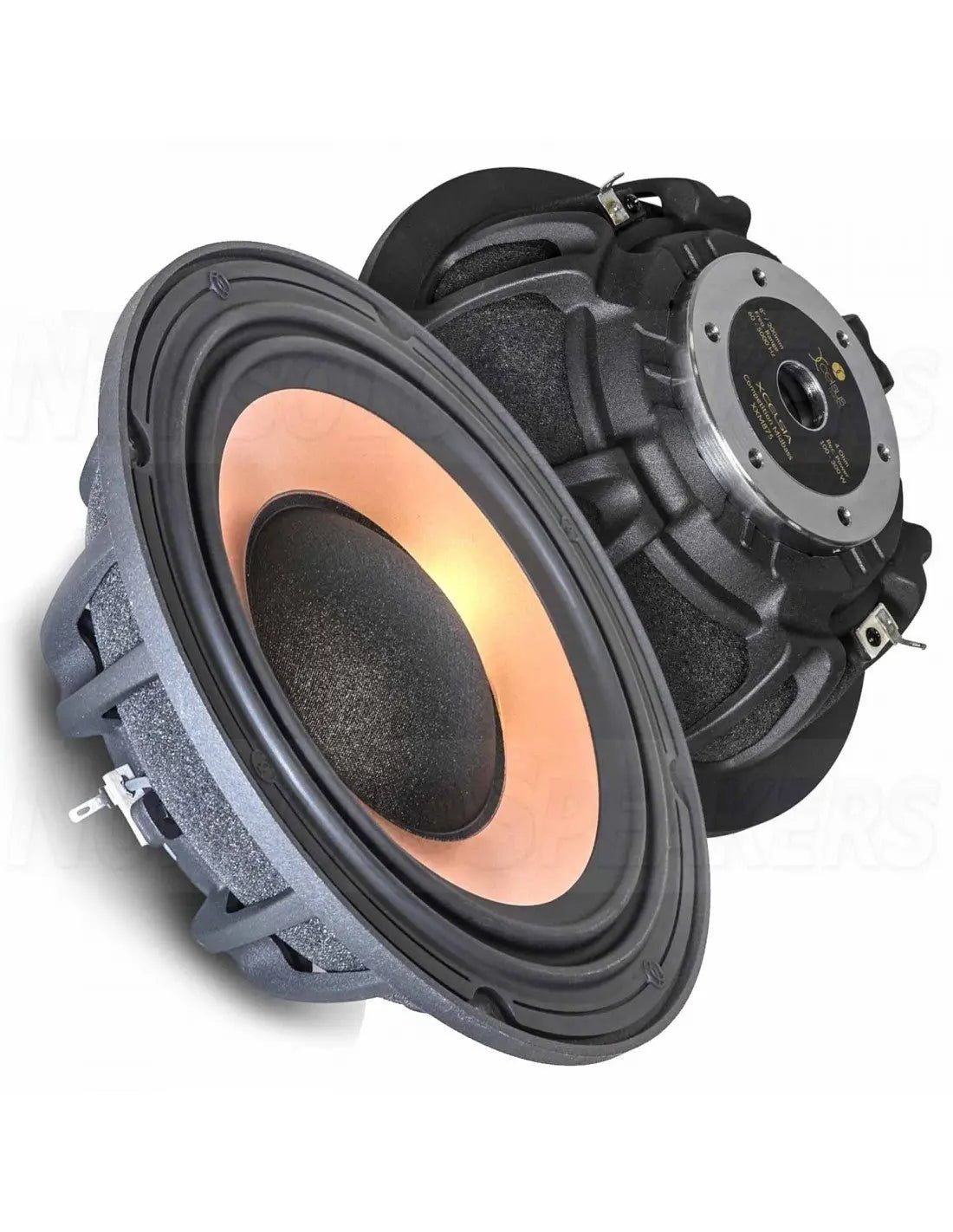 Xcelsus Speakers - Audio Intensity