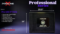 DD Audio 710g Dual Box: Ported 10" Professional Series Enclosure