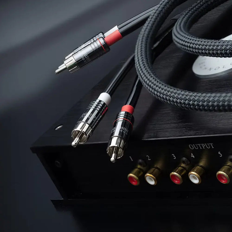 Audio cable with RCA connectors on an audio equipment unit