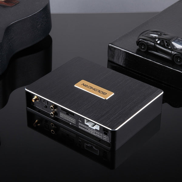 Goldhorn DSP10 | 10-Channel Standalone DSP for Audiophile Sound Quality - alternate view