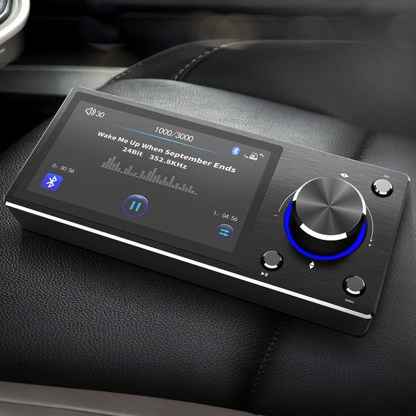 Goldhorn Panel Controller with Display for DSD Player