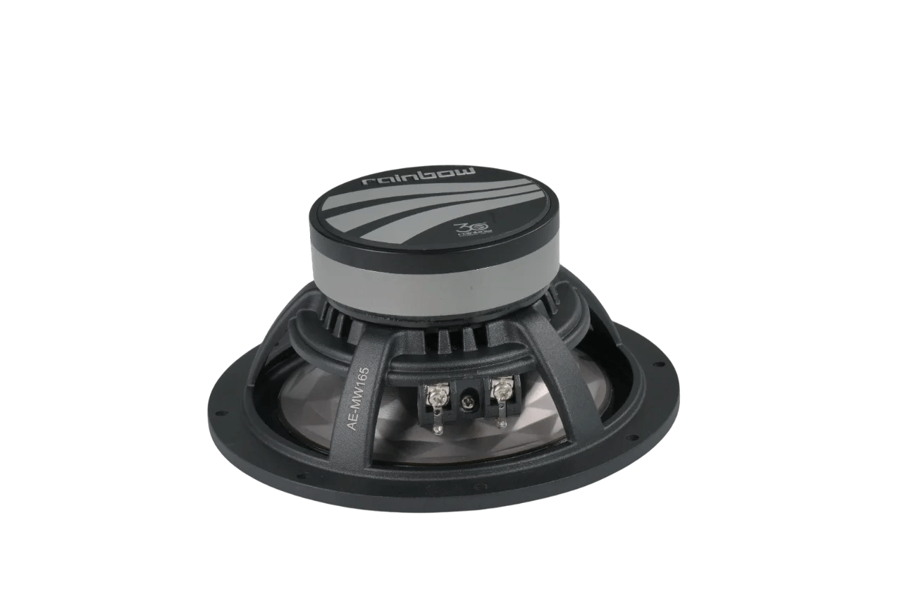 Rainbow Audio AE-30TH 2-Way Component Car Speakers- Limited Edition Rainbow