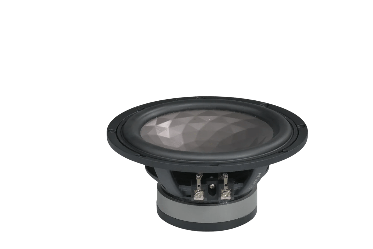 Rainbow Audio AE-30TH 2-Way Component Car Speakers- Limited Edition Rainbow