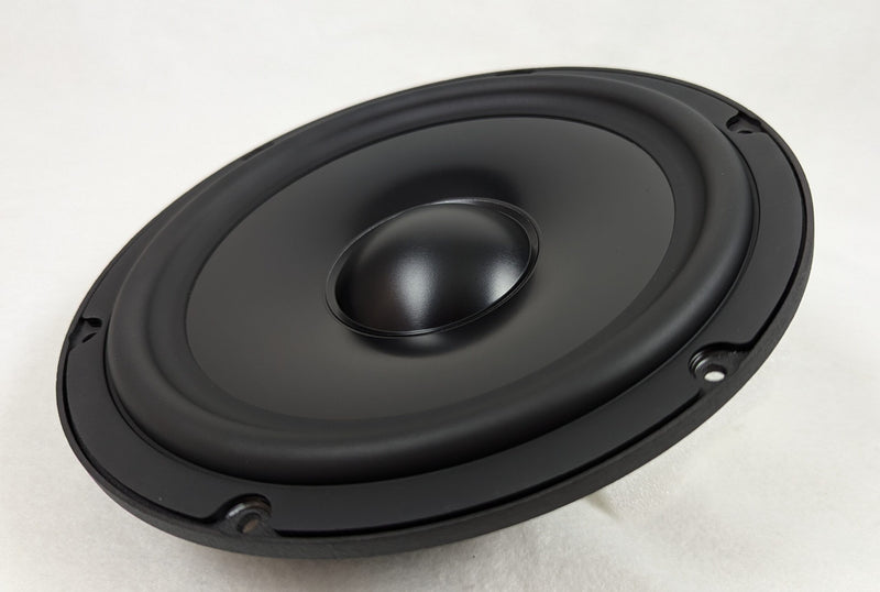 Stereo Integrity TM8 midbass, angled front view of the cone and rubber surround