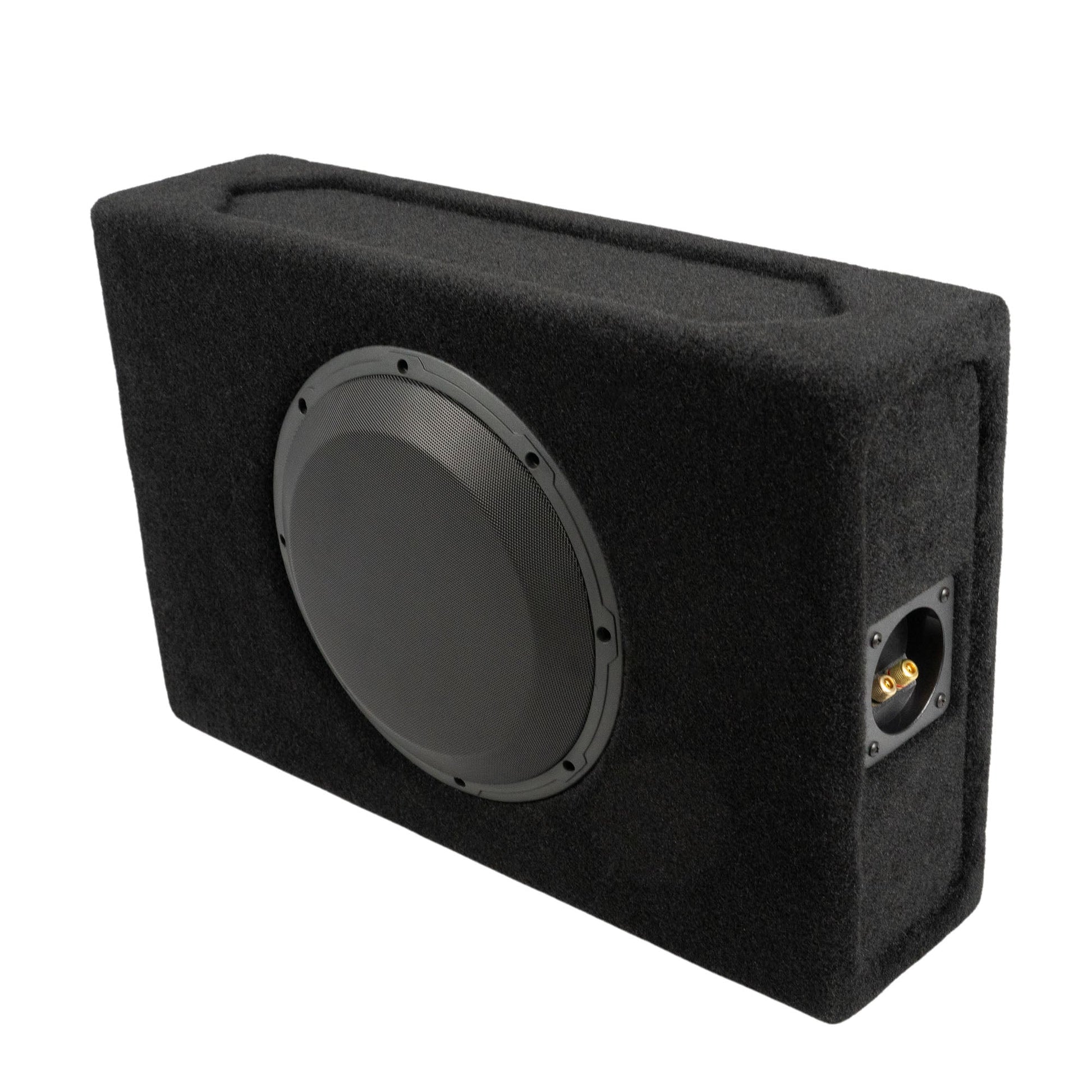 Audiomobile 10" Subwoofer System - Side