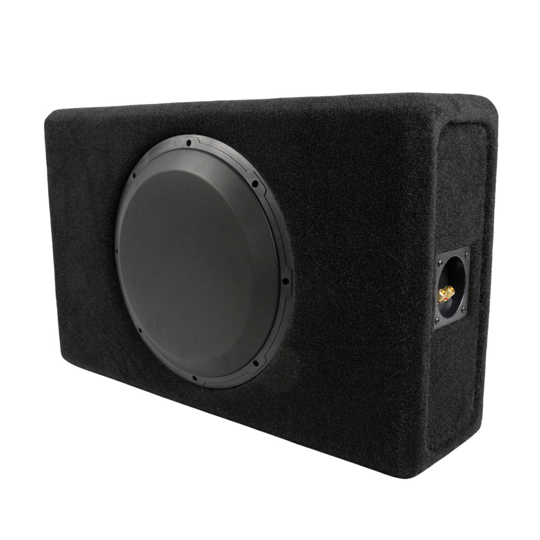 Audiomobile EVO 2412 12" Subwoofer System|Proline X|Audio Intensity