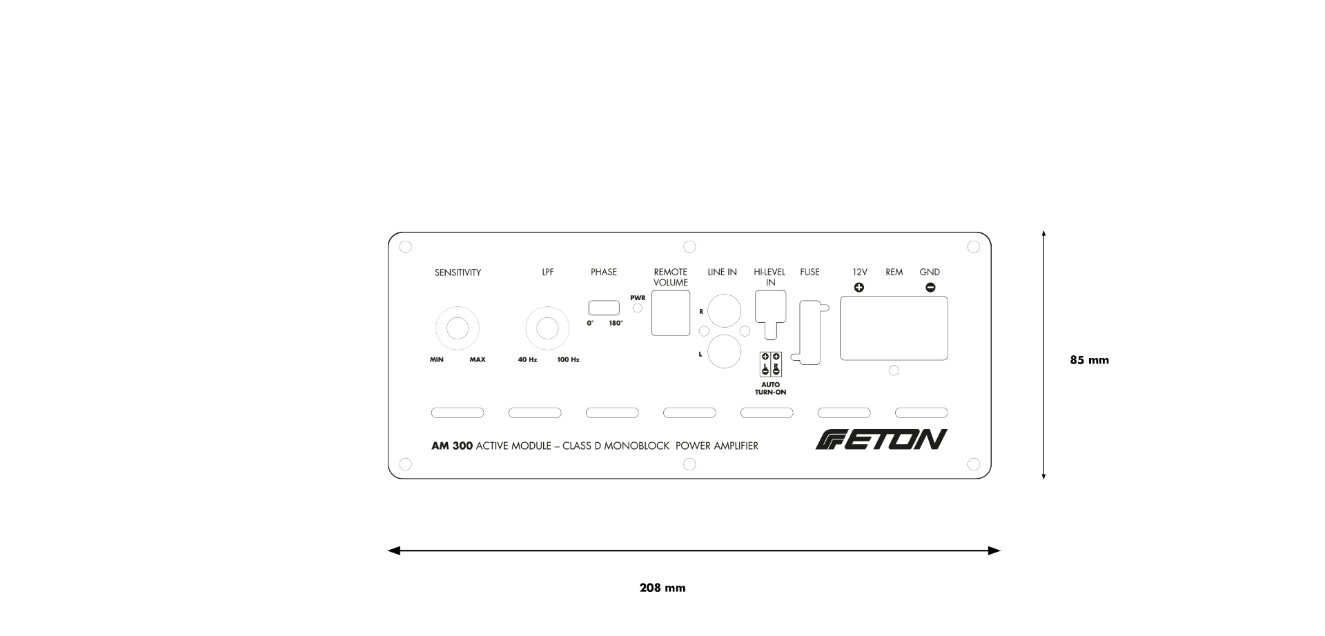 Eton AM300 1-Channel Amplifier, Class D|Eton|Audio Intensity