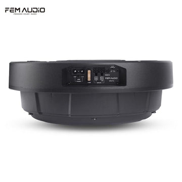 FEM Audio 12" Spare Tire Subwoofer|FEM Audio|Audio Intensity