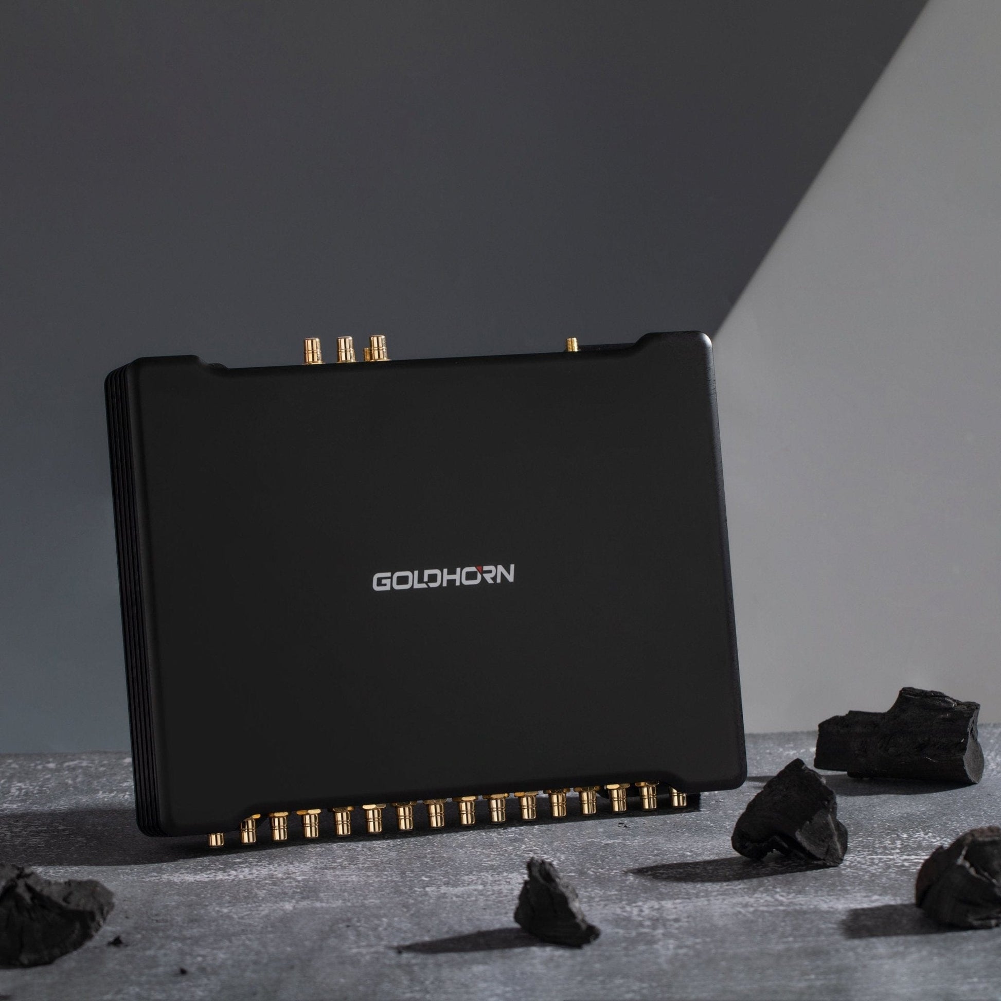 Goldhorn DSP16 Ultra: 16 - Channel High - Fidelity Audio Processor|Goldhorn|Audio Intensity