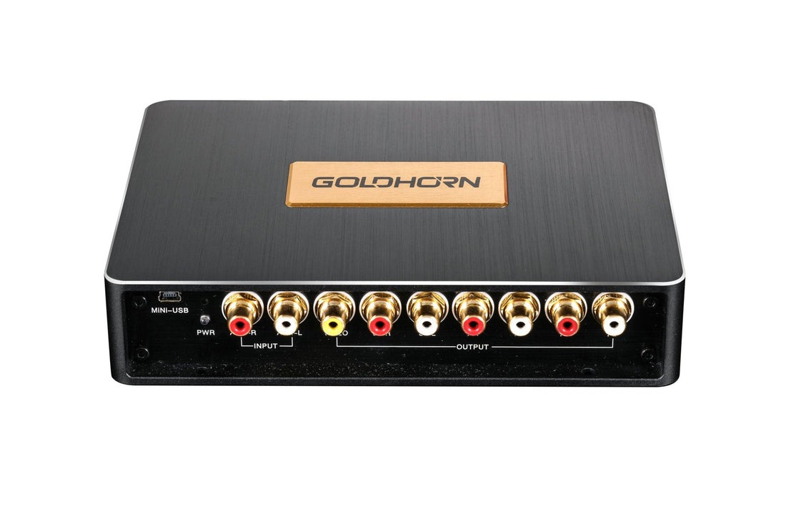 P2 Pro Goldhorn Hi - Res Player|Goldhorn|Audio Intensity