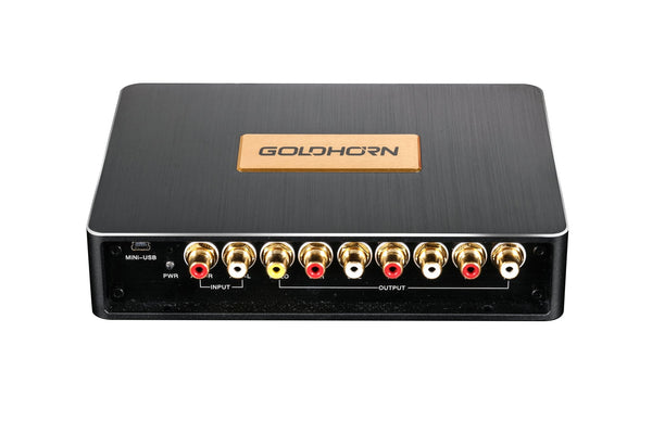 P2 Pro Goldhorn Hi-Res Player - alternate view