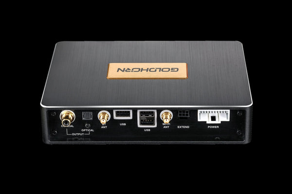P2 Pro Goldhorn Hi-Res Player