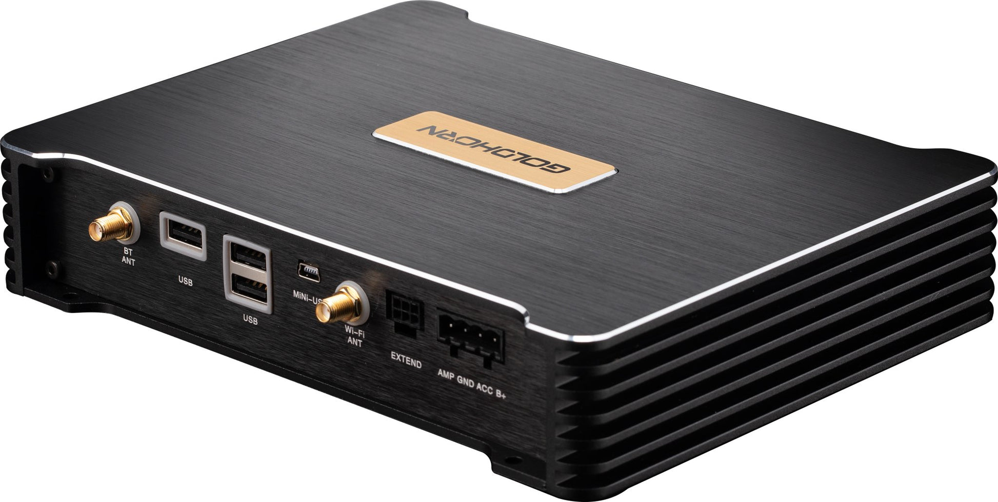 P3Plus Goldhorn Hi-Res Player|Goldhorn|Audio Intensity